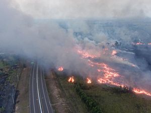 Potret Kebakaran Lahan di Samping Tol Palembang-Indralaya