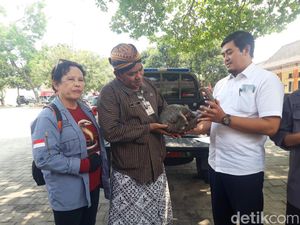 Mak Bedunduk! Trenggiling Nyelonong Masuk Rumah Warga Boyolali Mak Bedunduk! Trenggiling Nyelonong Masuk Rumah Warga Boyolali