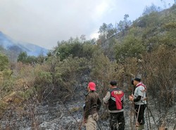 TNBTS Sebut Kebakaran Bromo Masih Menyisakan Satu Titik Api