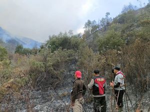 TNBTS Sebut Kebakaran Bromo Masih Menyisakan Satu Titik Api TNBTS Sebut Kebakaran Bromo Masih Menyisakan Satu Titik Api