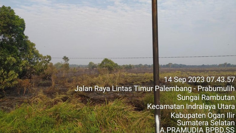 Karhutla yang 'Kepung Tol Palindra' Dipadamkan, Petugas Tetap Patroli
