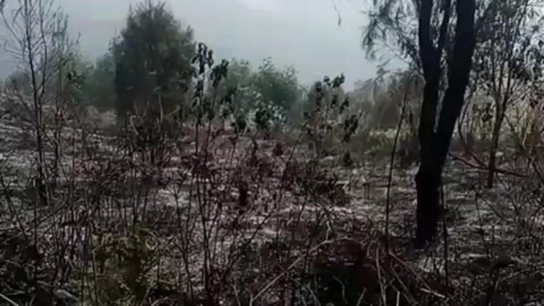 Muncul Titik Api Baru Kebakaran Gunung Arjuno di Wilayah Kota Batu