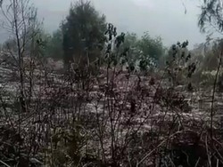 Jaringan Pipa Air ke Tiga Desa Lereng Arjuno Rusak karena Kebakaran