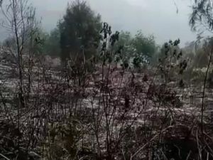 Jaringan Pipa Air ke Tiga Desa Lereng Arjuno Rusak karena Kebakaran Jaringan Pipa Air ke Tiga Desa Lereng Arjuno Rusak karena Kebakaran