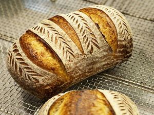 Roti Artisan Lebih Kaya Nutrisi Dibanding Roti Buatan Pabrik Roti Artisan Lebih Kaya Nutrisi Dibanding Roti Buatan Pabrik