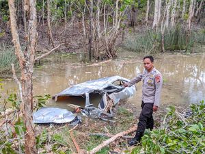 Minibus Bawa 7 Penumpang di Merauke Terjun ke Parit, 2 Tewas-5 Luka Minibus Bawa 7 Penumpang di Merauke Terjun ke Parit, 2 Tewas-5 Luka