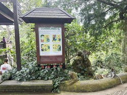 145 Turis Australia Digigit Hewan, NSW Warning Warganya di Bali