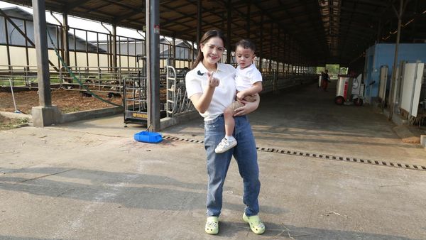 Gemas, 8 Potret Nagita Slavina Ajak Cipung Kasih Susu ke Sapi
