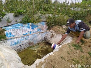Petani Merbabu Magelang Beli Air Rp 800 Ribu Sepekan buat Sirami Sayuran