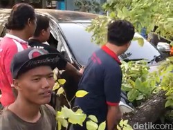 Pohon Sono Besar Tumbang Timpa Mobil dan Motor di Sidoarjo