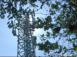 Bikin Geger! Pria ODGJ Tetiba Panjat Tower 50 Meter di Kuningan Semarang