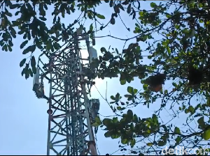 Bikin Geger! Pria ODGJ Tetiba Panjat Tower 50 Meter di Kuningan Semarang Bikin Geger! Pria ODGJ Tetiba Panjat Tower 50 Meter di Kuningan Semarang