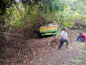 Truk Muat Semen Terperosok ke Hutan Cekik, 2 Orang Terluka Truk Muat Semen Terperosok ke Hutan Cekik, 2 Orang Terluka