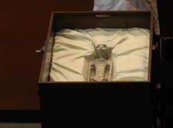 Viral di Internet-Dipamerkan di Parlemen Meksiko, Benarkah Ini Mayat Alien?