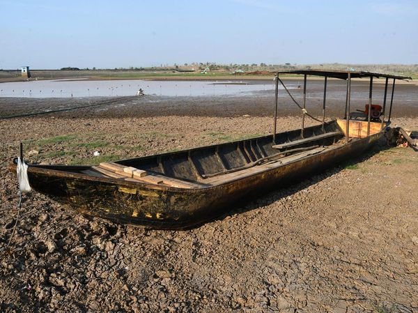 Kemarau, Waduk Dawuhan Madiun Mengering