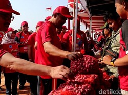 Dongkrak Harga di Tingkat Petani, ASN Brebes Dikerahkan Borong Bawang Merah