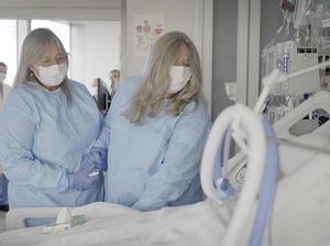 Dunia Hari Ini: Ginjal Babi Berfungsi pada Otak Manusia yang Sudah Mati