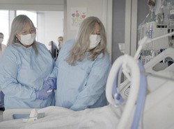 Dunia Hari Ini: Ginjal Babi Berfungsi pada Otak Manusia yang Sudah Mati