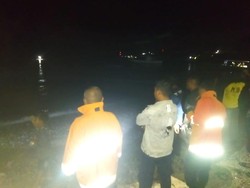 Geger! Buaya 3 Meter Muncul di Pantai Gorontalo, BKSDA Imbau Warga Waspada