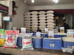 Terungkap! Ini Penyebab Harga Beras Terus Naik