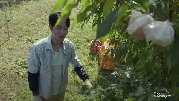 Jo In Sung tampil berkebun sebagai Kim Doo Shik di Moving (2023)