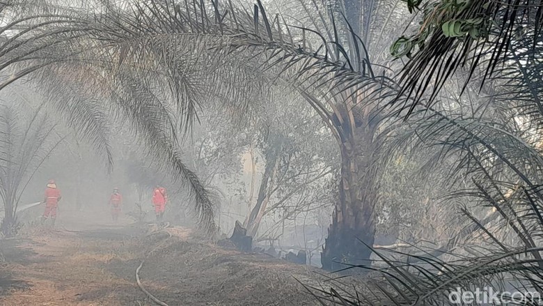 Karhutla Kepung Permukiman Warga di Ogan Ilir, 20 Hektare Lahan Terdampak
