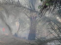 Karhutla Kepung Permukiman Warga di Ogan Ilir, 20 Hektare Lahan Terdampak
