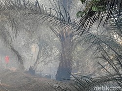 Karhutla Kepung Permukiman Warga di Ogan Ilir, 20 Hektare Lahan Terdampak