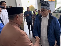 Tiba di Pekanbaru, Ketum PAN Disambut Wakil Gubernur Riau