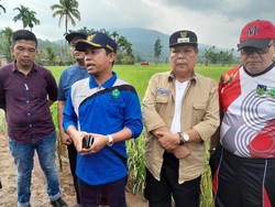 Pemkab Lebong Wajibkan Pejabatnya Jadi Orang Tua Asuh untuk Anak Stunting
