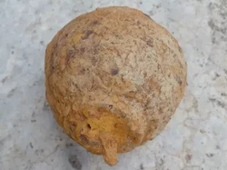 Penampakan Granat Aktif Zaman Jepang yang Ditemukan Warga Jambi