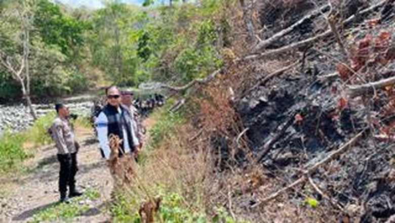 8 Hektare Lahan di Kaki Gunung Sewo Soppeng Hangus Terbakar, Polisi Selidiki