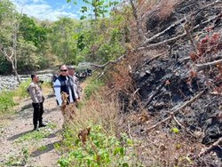 8 Hektare Lahan di Kaki Gunung Sewo Soppeng Hangus Terbakar, Polisi Selidiki