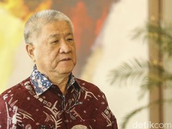 Aguan Buka-bukaan Rencana Bangun Mal dan Kebun Raya di IKN