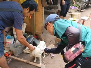 4 Warga Digigit Anjing Rabies, Jembrana Gelar Vaksinasi Massal Darurat 4 Warga Digigit Anjing Rabies, Jembrana Gelar Vaksinasi Massal Darurat