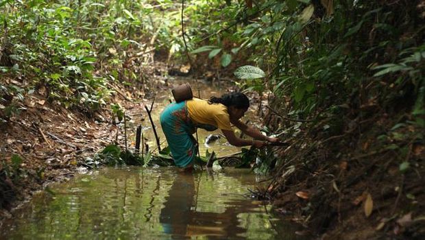 Warga adat Batin Sembilan di sudut kawasan Hutan Harapan, Kabupaten Batanghari, Jambi, Jumat (8/9) sore.