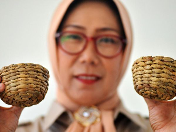 Eceng Gondok Disulap Jadi Kerajinan Cantik