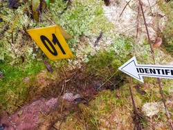 Dukun Bunuh Pasutri di Kapuas, Polisi Selidiki Kemungkinan Korban Lain