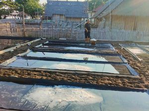 Petani Garam Karangasem Panen Raya, tapi Harga Anjlok Petani Garam Karangasem Panen Raya, tapi Harga Anjlok