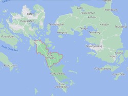 PSN Jokowi di Rempang Disebut Jadi Barometer Investor Asing