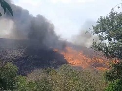 Sampah di TPA Putri Cempo Solo Terbakar, Asap Hitam Membubung