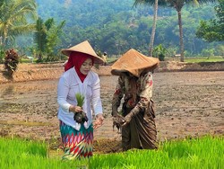 Pengusaha Bandung Ini Ungkap Alasannya Nyalon DPD RI