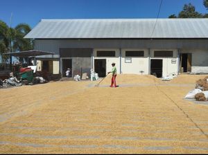 Bima Juara, Senjata Klungkung Perangi Tengkulak Gabah