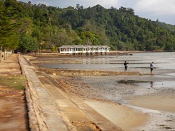 PSN Jokowi di Rempang Bisa Jadi Jalan RI Lepas dari Middle Income Trap