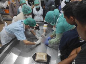 Heboh Orok Bayi 4 Bulan Ditemukan Mengapung di Pelabuhan Tangkiling Kalteng Heboh Orok Bayi 4 Bulan Ditemukan Mengapung di Pelabuhan Tangkiling Kalteng