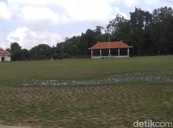 Rumput Lapangan Pau Diganti Setelah Dikritik Bupati Klungkung