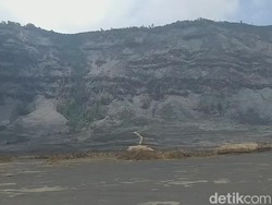 Segini Kerugian yang Diderita Dampak Kebakaran di Gunung Bromo