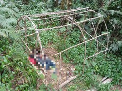 Pria Misterius Ditemukan Tewas di Gunung Gede Pangrango