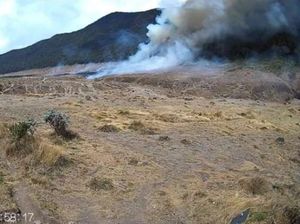 Alun-alun Suryakencana Gunung Gede Terbakar, Taman Edelweiss Terancam Alun-alun Suryakencana Gunung Gede Terbakar, Taman Edelweiss Terancam