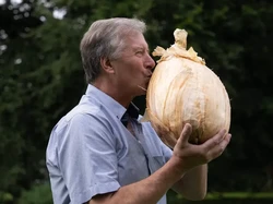 Senangnya Pria Inggris Panen Bawang Raksasa, Beratnya Hampir 9 Kg